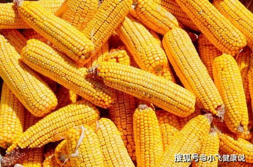 玉米面是粗糧還是細糧？營養師提醒 糖尿病人吃玉米面，別犯三個錯